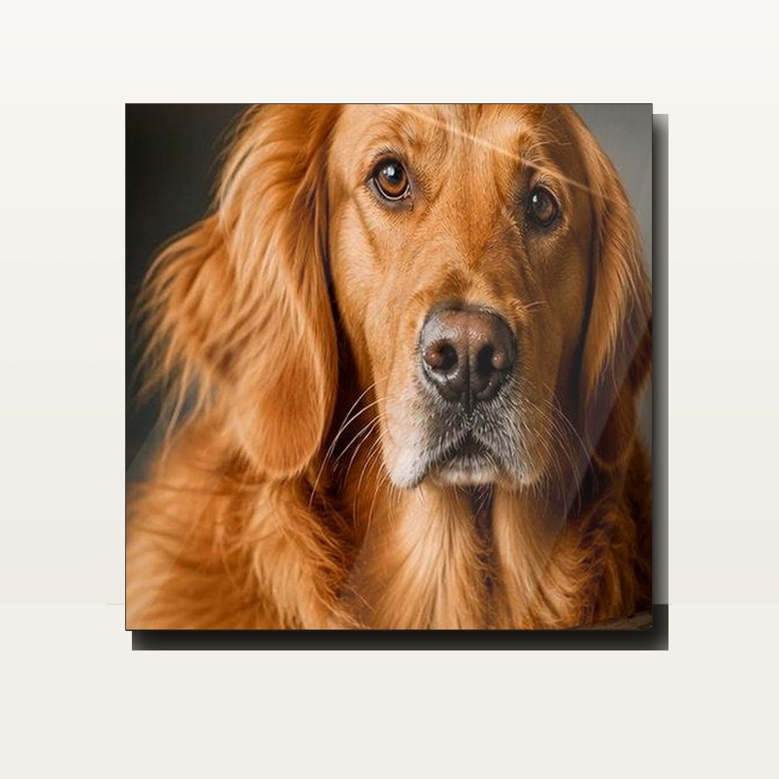 Clean 12x12 custom metal print sample - Mile High Metal Prints