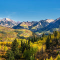 Colorado aspen mountain landscape metal print