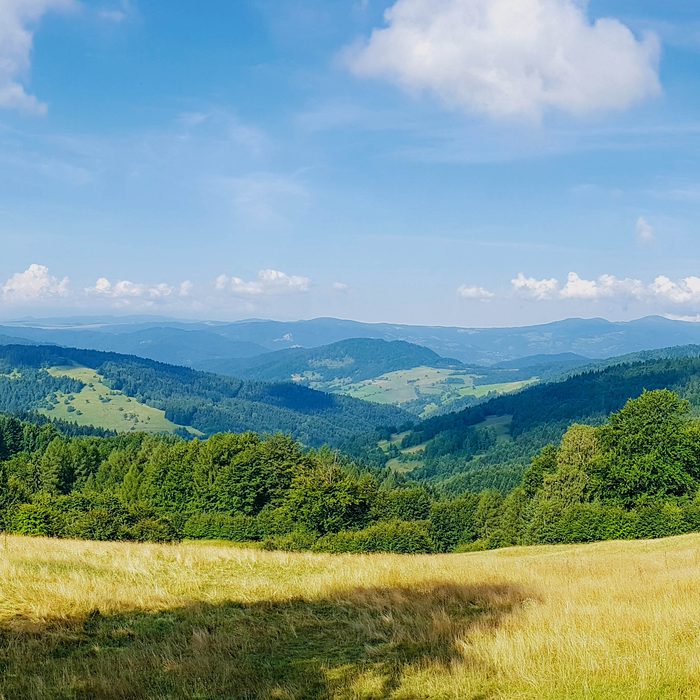 Panoramic mountain valley metal print